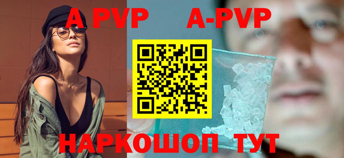 Альфа ПВП СК Кизилюрт