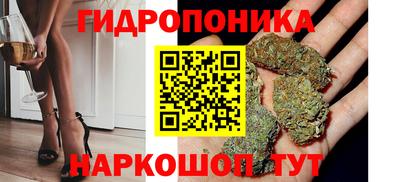 прущие грибы Дубна
