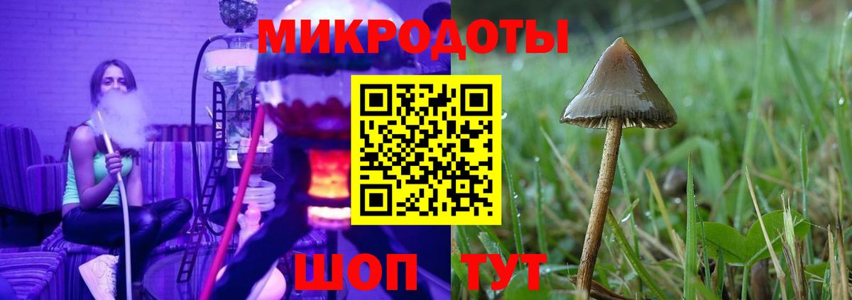 Галлюциногенные грибы Psilocybine cubensis  Вход с VPN  Кизилюрт 